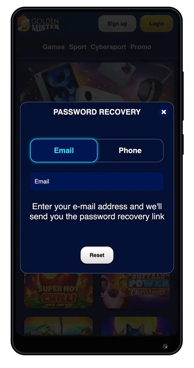 Password Recovery